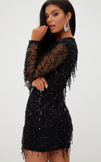 Sequin Fringe Mesh Sleeve Mini Dress, photo 3
