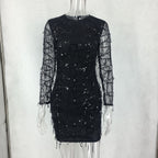 Sequin Fringe Mesh Sleeve Mini Dress, photo 2